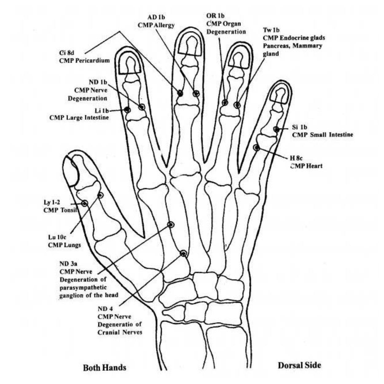 k-start-course-image
